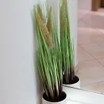 Apartman Doko, Bay Zaton (Dubrovnik-Neretva)