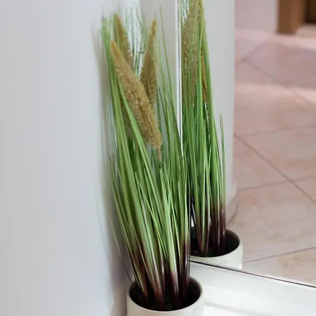 Apartamento Doko, Bay Zaton (Dubrovnik-Neretva)