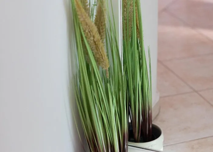 Appartement Doko, Bay Zaton (Dubrovnik-Neretva)